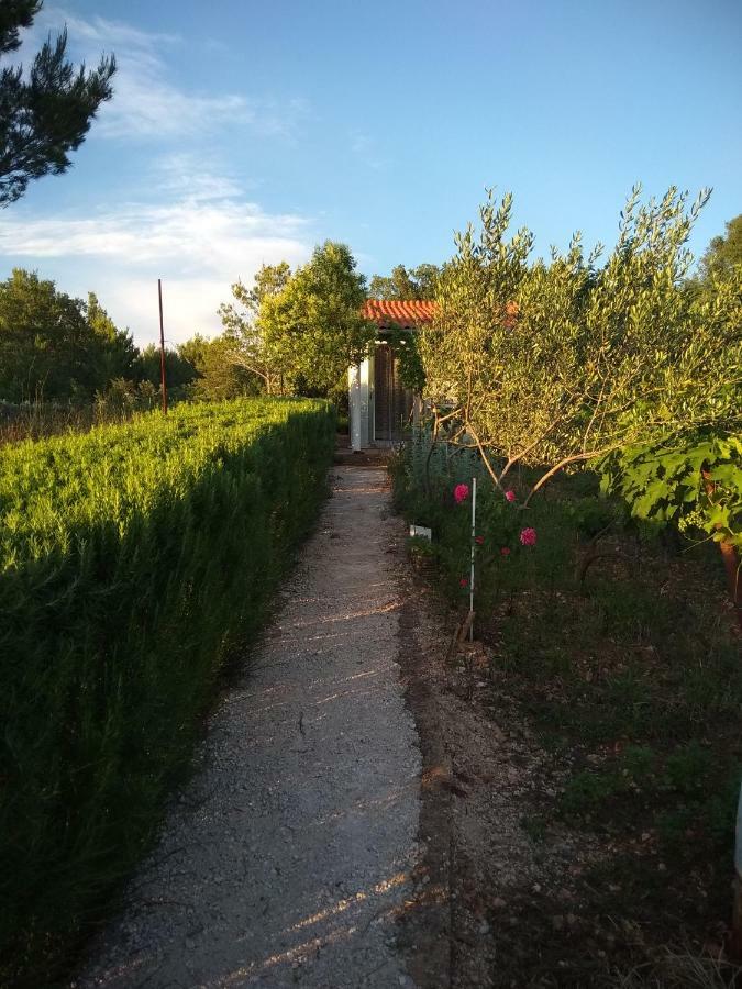 דירות ביליצה Neva מראה חיצוני תמונה